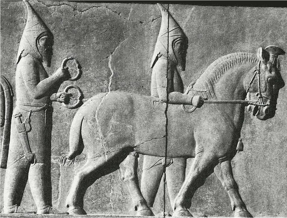 2-Saka-Persepolis.jpg