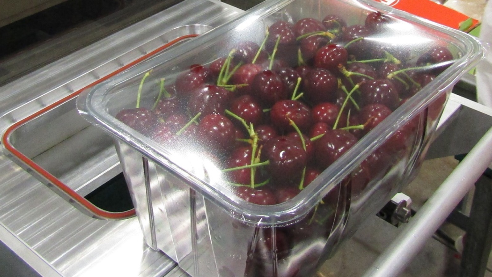 StePac-Cherries.jpg