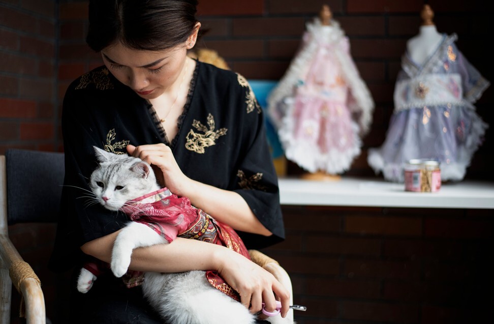 There is no firm evidence that pets like cats can easily spread the virus. Photo: AFP