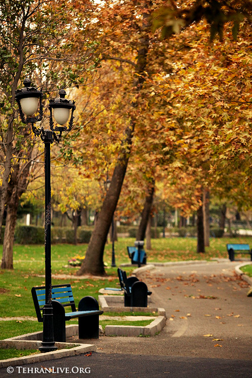 festival_of_colors_tehran_8.jpg