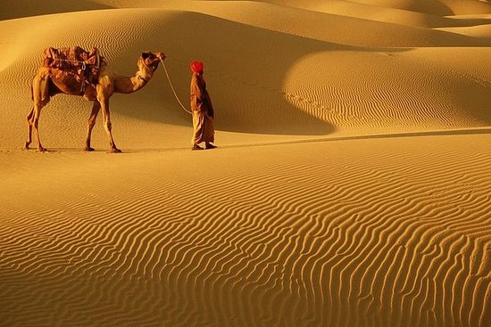 cholistan-desert-camping.jpg