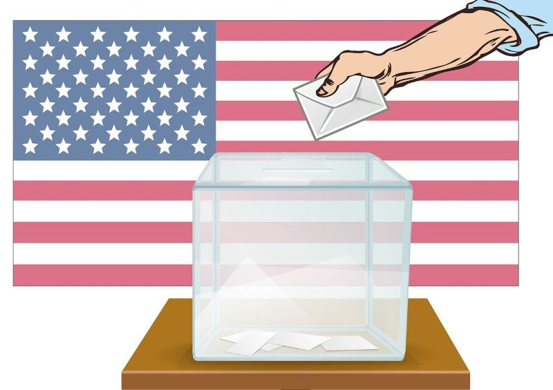 large number of peoples are casting their early votes in us photo pixabay