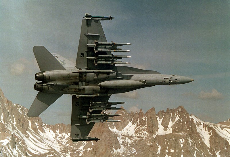 800px-FA-18_Hornet_VX-4_with_10_AMRAAM.jpg