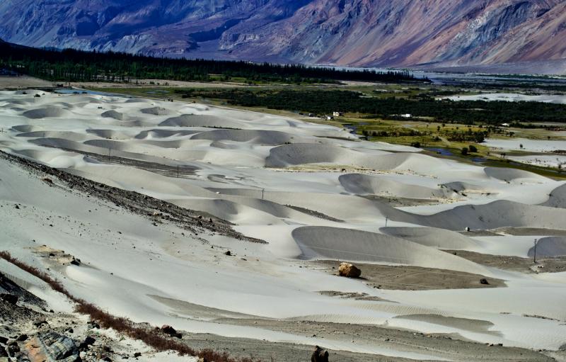 Nubra_Sand_Dunes.jpg