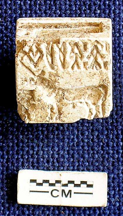 goladhoroseal.jpg