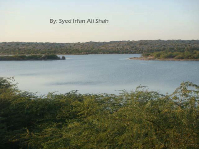 Kalaankar+lake,+Dhoro+naro,+Umerkot,+Sindh.jpg