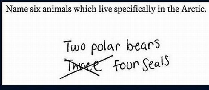 funny_exam_answers_05.jpg