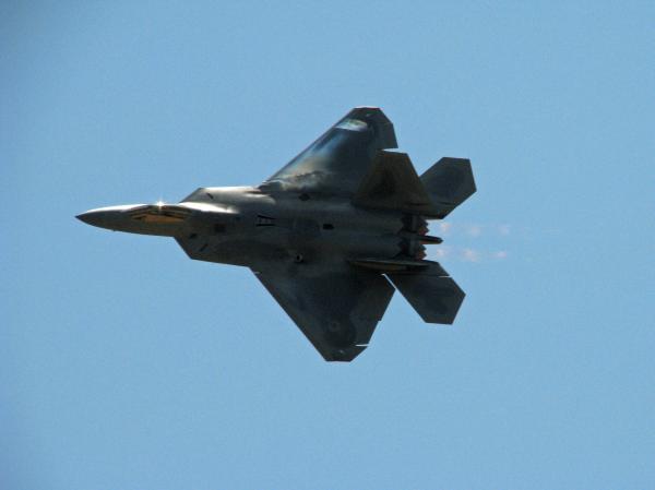 f-22-raptor-chaz-mcdowell.jpg