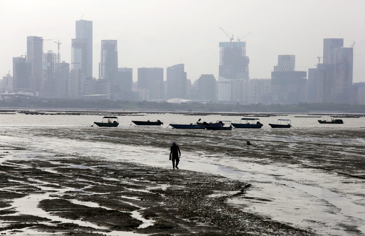 buildings-keep-sprouting-and-cranes-stay-anchored-in-the-cities-meanwhile-a-clear-juxtaposition-emerges-in-china-as-the-industry-edged-out-the-rural-regions-below-a-man-walks-during-low-tide-in-front-of-the-fast-developing-city-of-shenzen-part-of-the-pearl-river-delta-megacity.jpg