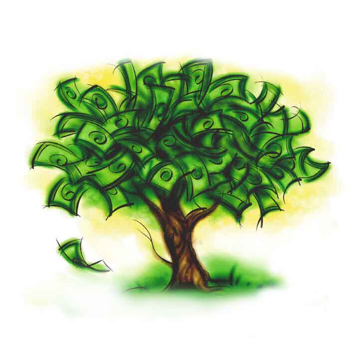 money-tree.jpg