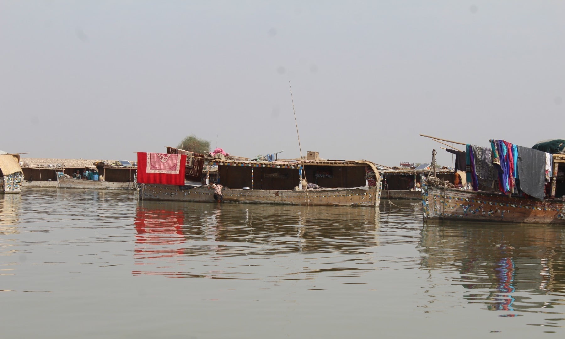 Manchar Lake * Abu Bakar Sheikh