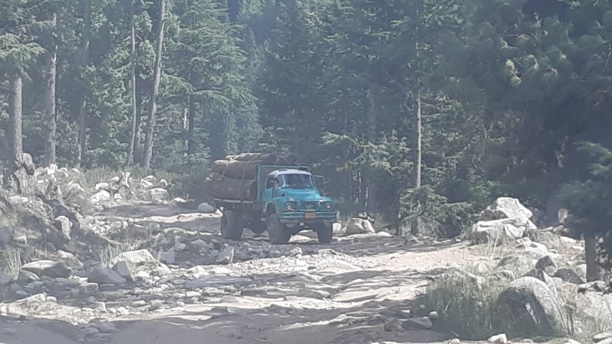 Timber laden trucks are a common sight in the Dir highlands.