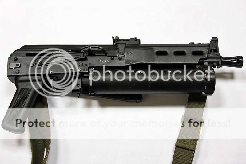 PP19Bizon_zps059e2224.jpg