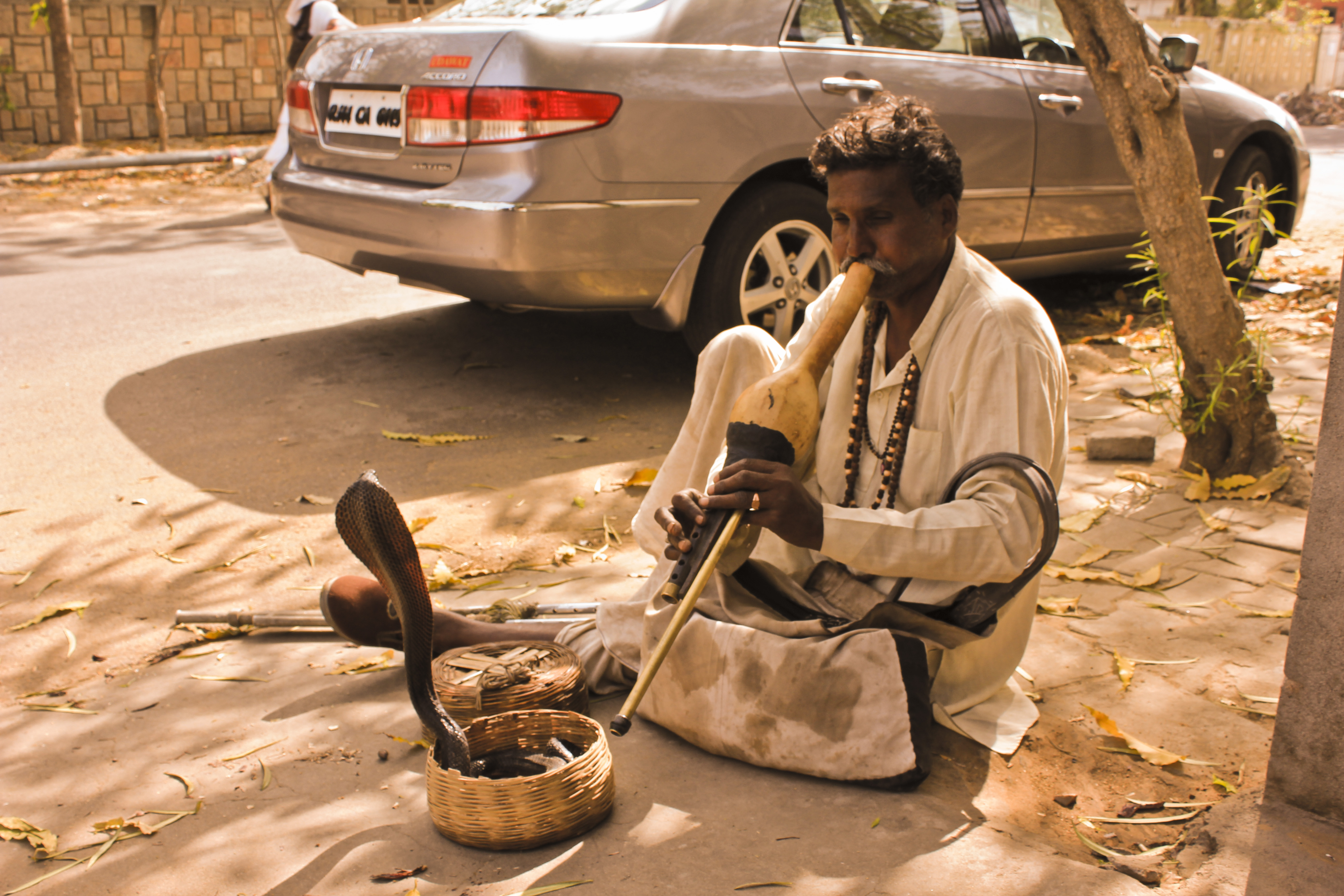 snake_charmer_or_sapera_in_hindi_by_pradhuman-d5hd0qw.jpg