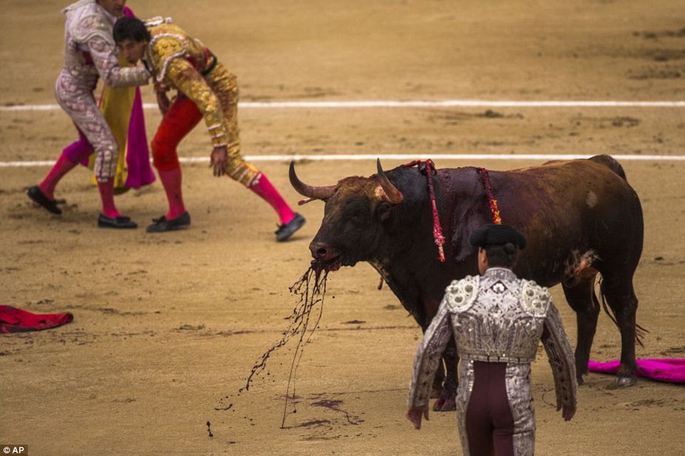 1400683592123_wps_Spanish_bullfighter_Jimen.jpg