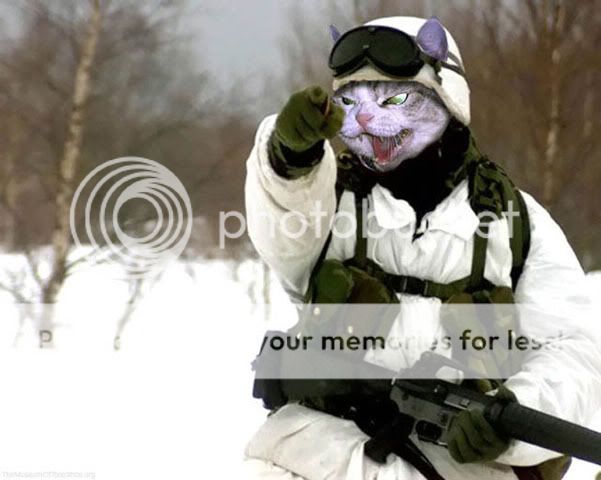 cat-gun-0923.jpg