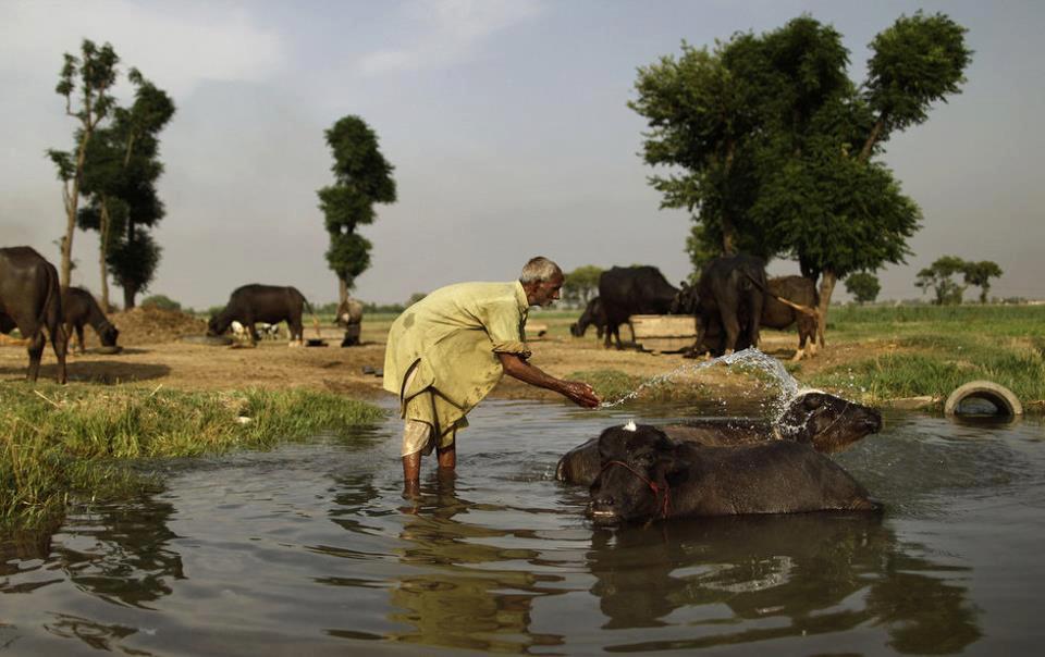 villages-of-punjab-pakistan-911.jpg