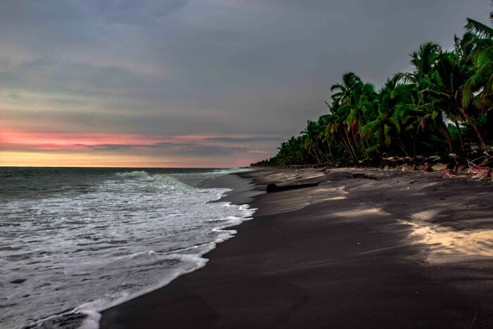 kerala-monsoon-new-og.jpg