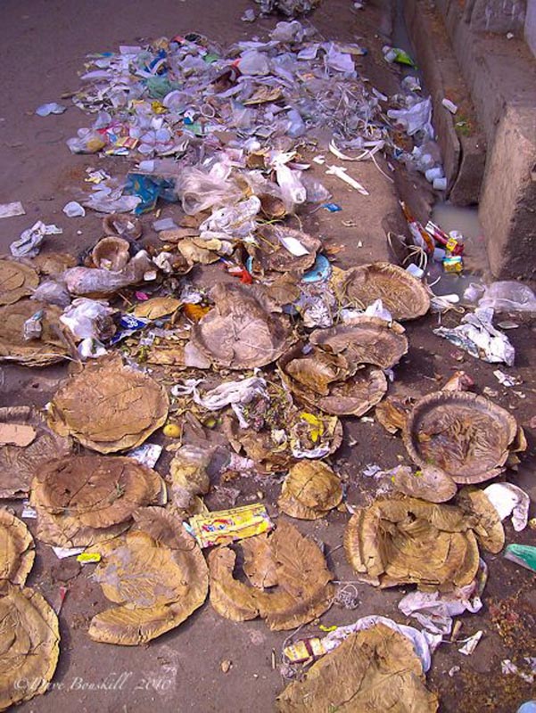 filth_India_garbage_waste-1.jpg