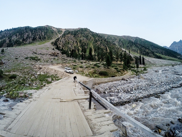 cattle-have-the-right-of-way.jpg