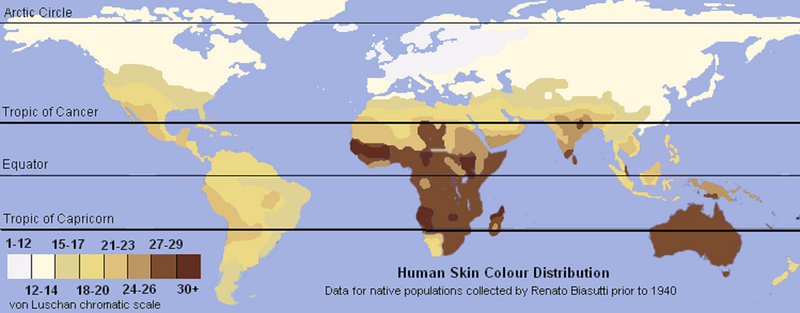 800px-Unlabeled_Renatto_Luschan_Skin_color_map.png