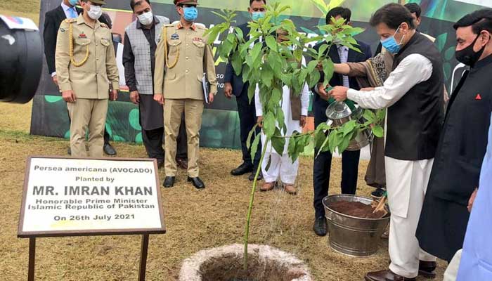 Prime Minister Imran Khan launching monsoon planation drive in Islamabad. Photo: Twitter/PM Office