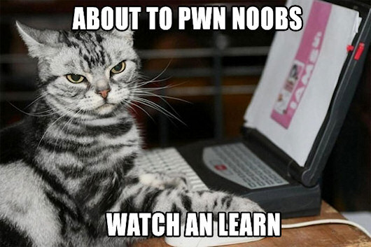 noob_pwning_trollcat.jpg