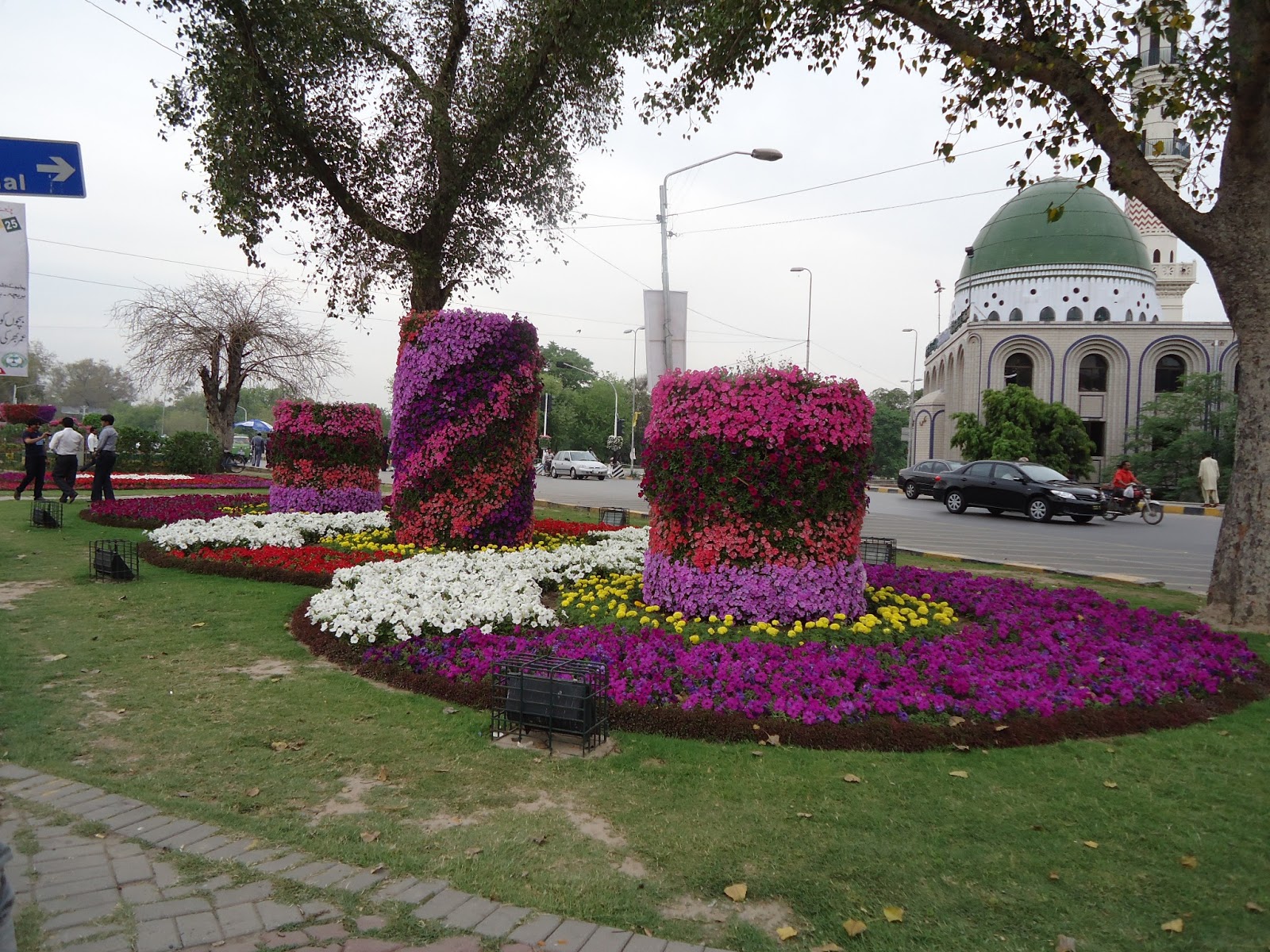 DSC00988.JPG