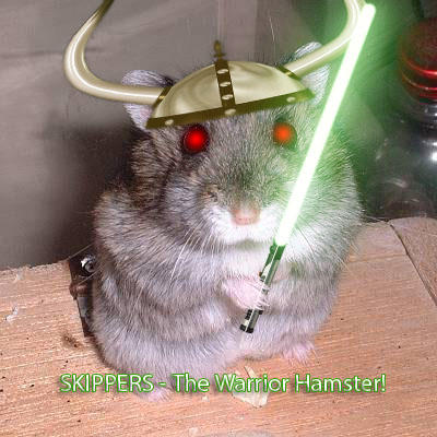 SKIPPERS___The_Warrior_Hamster.jpg