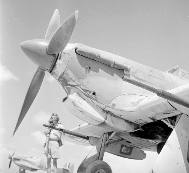 Pilot_6_Sqn_RAF_with_Hurricane_IID_at_Shandur_c1942.jpg