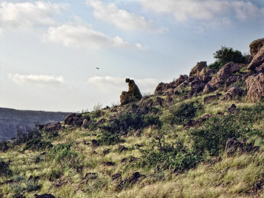 the_thinking_stone_by_ethen_asad-d4f18hq.jpg