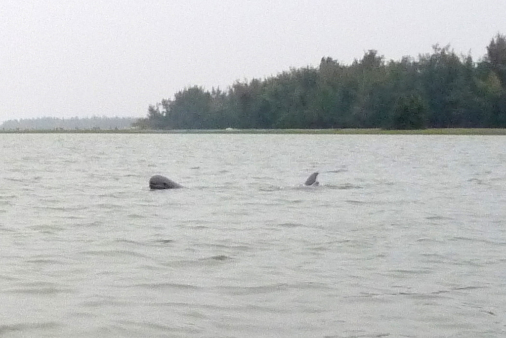 Chilika-lake-Puri.jpg