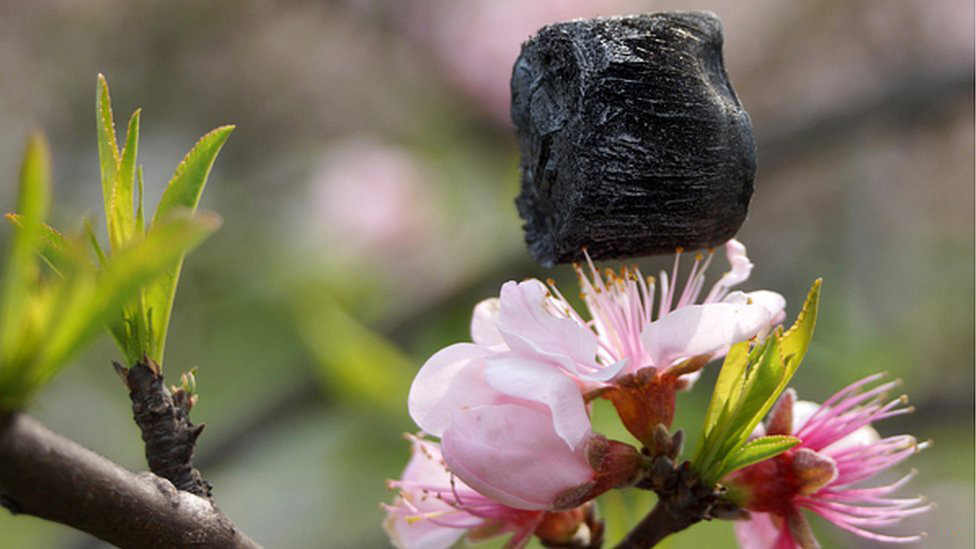 aerogel-on-flower-stamen-640x360.jpg