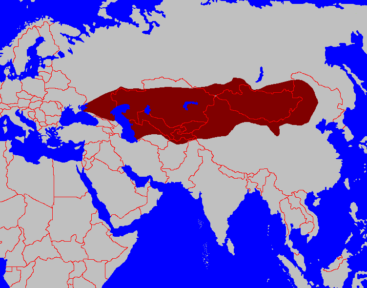 First_Turk_Khaganate%28600%29.PNG