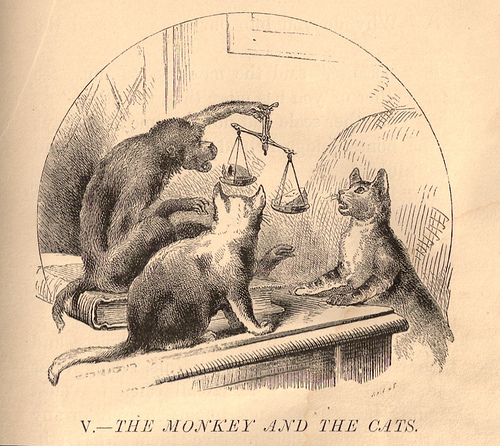 monkey-cats-justice.jpg