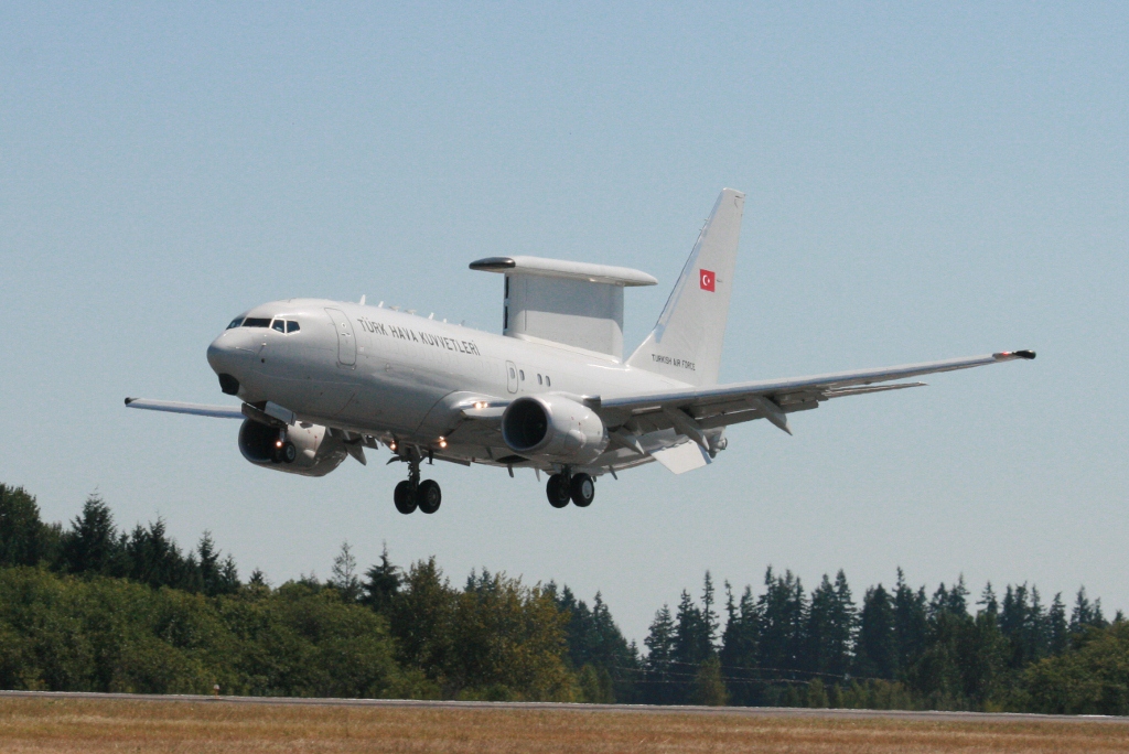 peace-eagle-paine-field-2012-2.jpg