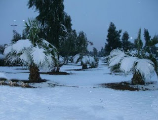 saudi-snow-5.jpg