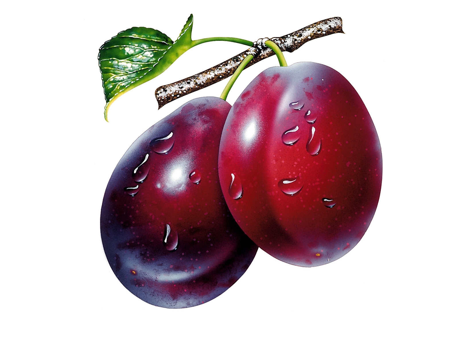 plums.jpg