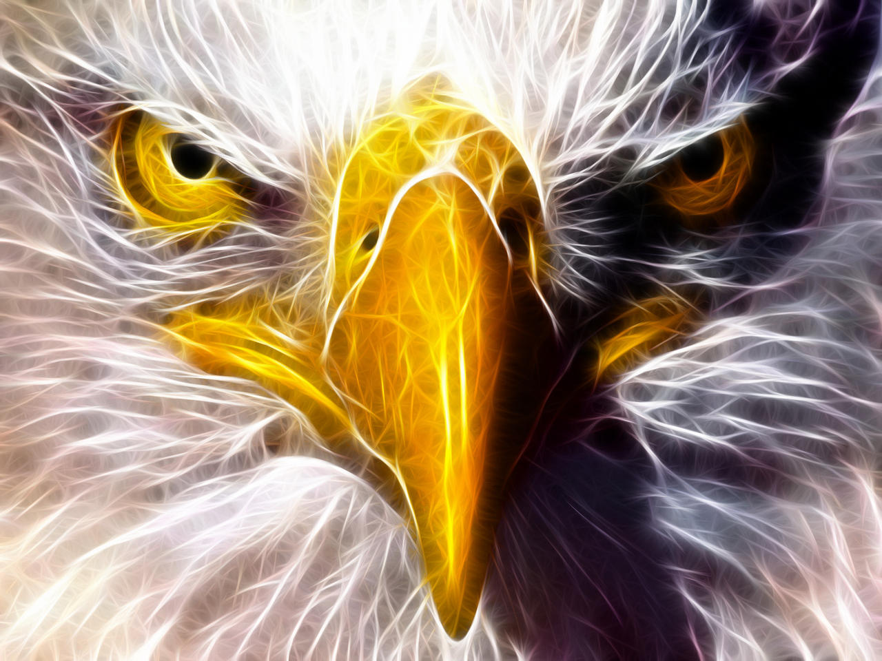 eagle_eyes_2_by_akolita.jpg