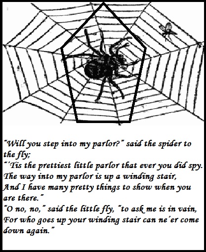 spider-to-the-fly.jpg