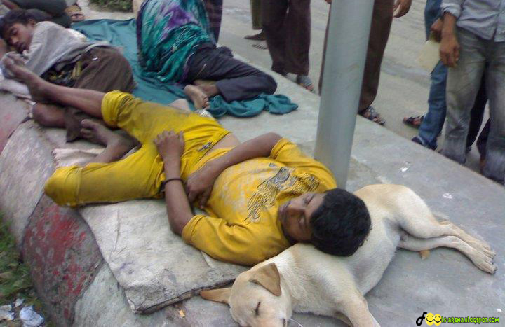 beggar-sleeping-with-dog-funny-india-02.jpg