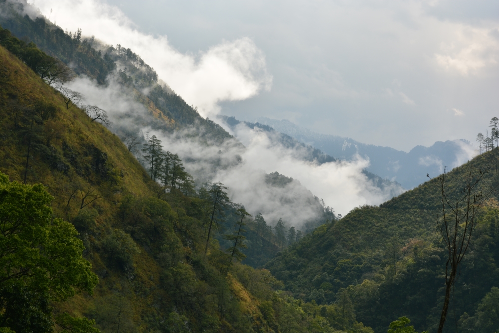 ghallum-valley-in-lohit-district-arunachal-pradesh.jpg