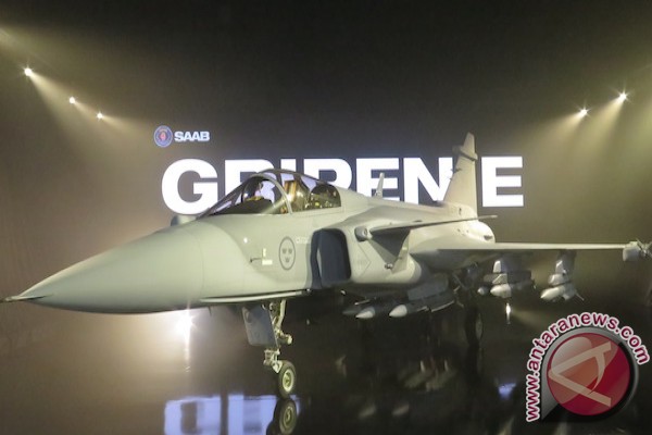 20160519gripen_ng_4.jpg