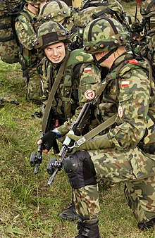220px-Polish_Airborne_Infantry.jpg