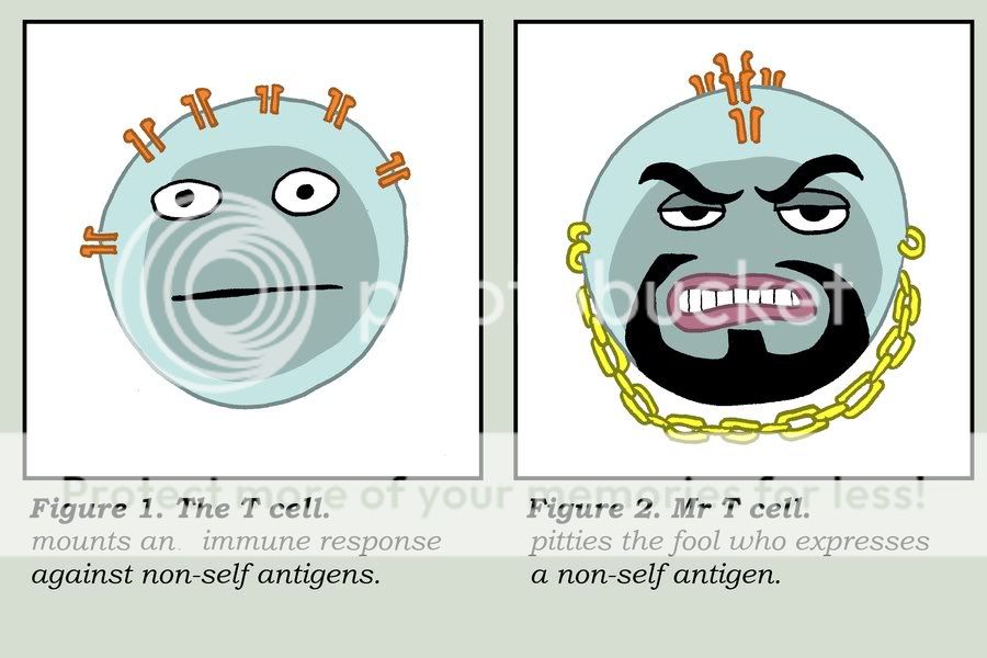 mr_t_cell_by_velica-d3a08p8.jpg