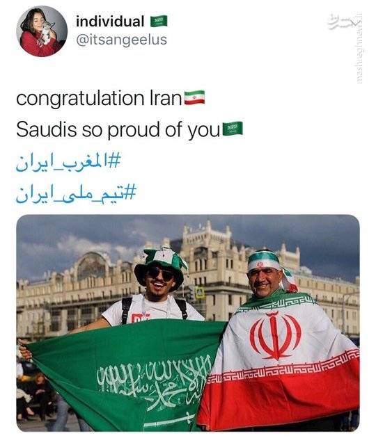 2271863.jpg