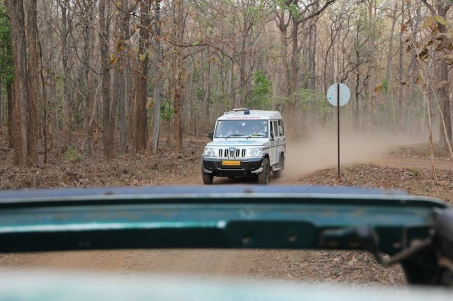 th_b4ad7bd0e72f1f1901536d6d4f1312d8_1342823171Tadoba_Ambulance_Takes_Tourist_Detour.jpg