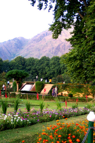 kashmir.picturesc.nishat.gardens.jpg