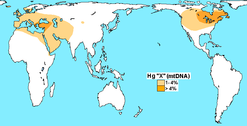 Haplogroup_X_%28mtDNA%29.PNG