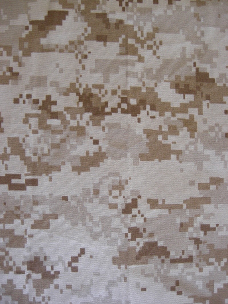 camo2010.jpg